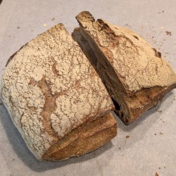 copie de Campagne (24 décembre)